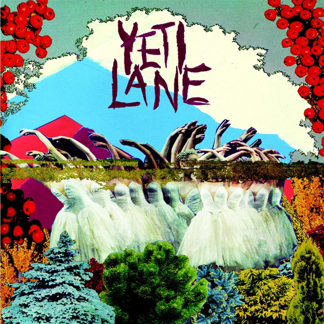 Yeti Lane cover