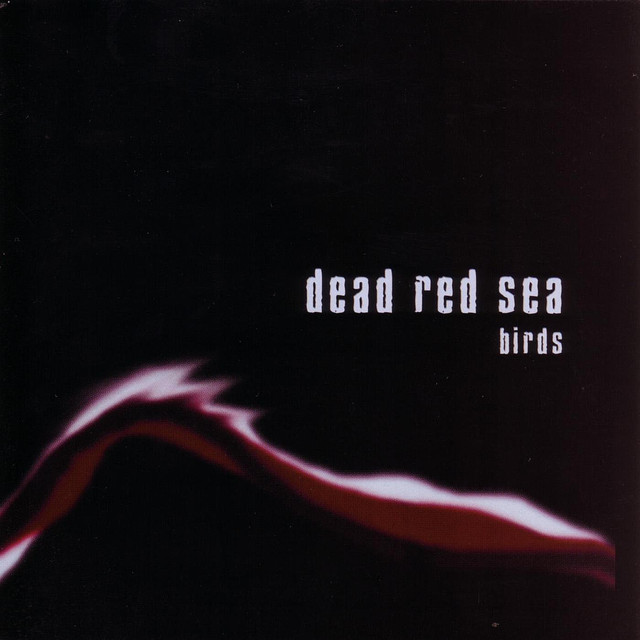 Dead Red Sea Photo