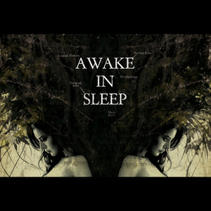 Awake in Sleep