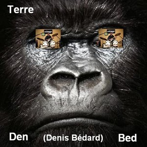 Terre Albumcover