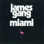 Miami cover
