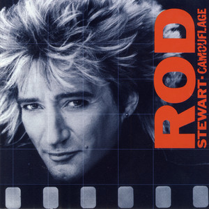 Camouflage cover