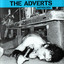Anthology cover