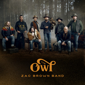 The Owl cover