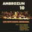 Ambrozijn - Naradie