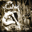 Rise cover