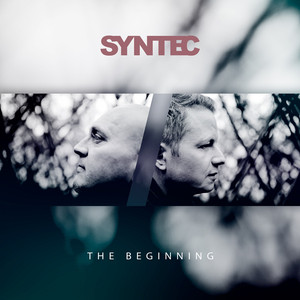 The Beginning cover