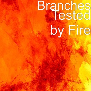Tested by Fire Albumcover