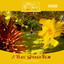 A Place Without Fear (Gemafreie Entspannungsmusik für Wellness und Meditation) Albumcover