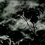 Seven Sorrows Albumcover