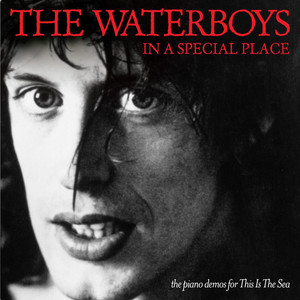In a Special Place: The Piano Demos for This Is the Sea album