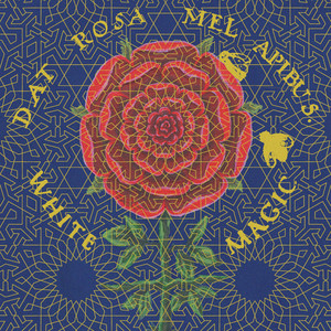 The Light cover