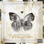 Evolution cover