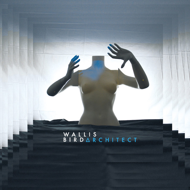 Architect cover