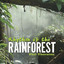 Rhythm of the Rainforest Albumcover