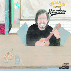 David Bromberg cover
