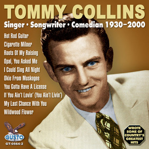 Singer Songwriter Comedian 1930-2000 cover