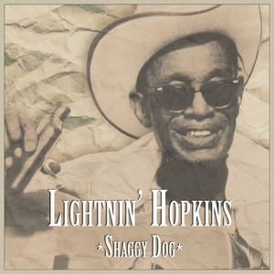 Shaggy Dog cover