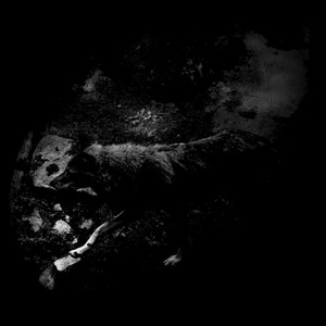 The Womb of Primordial Nature cover