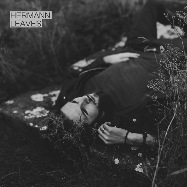 Hermann Photo