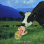 An Unusual Day In Montana Albumcover