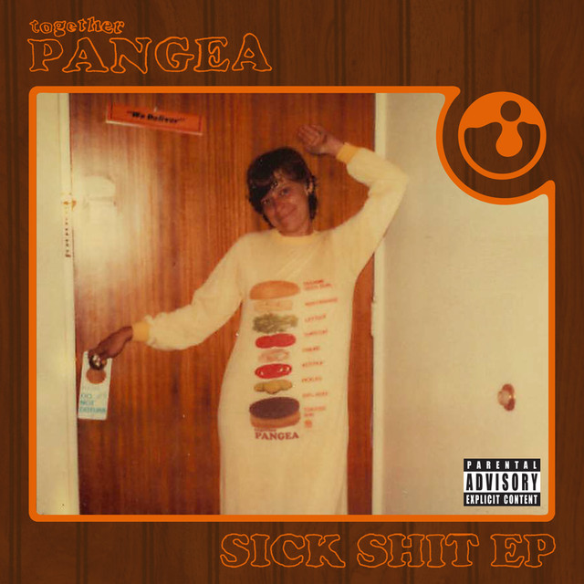 Sick Shit cover
