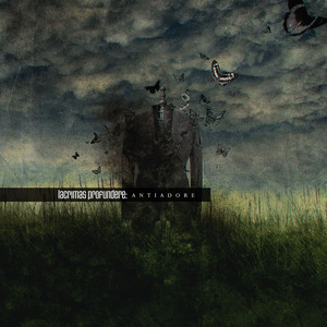 Antiadore cover