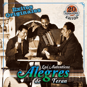 20 Verdaderos Exitos album