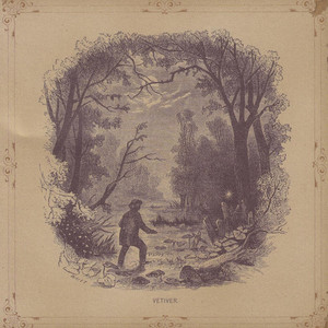 Vetiver cover