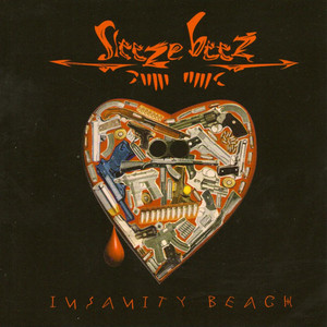 Insanity Beach cover