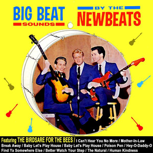 Big Beat Sounds cover