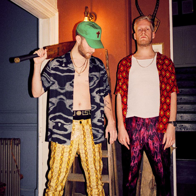 Snakehips photo