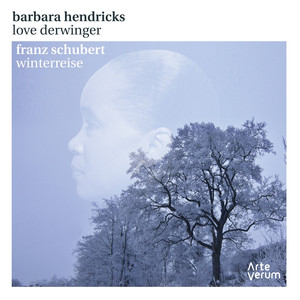 Franz Schubert: Winterreise cover