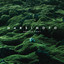 Grüner Samt cover