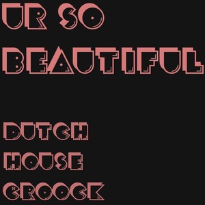Dutch House Croock
