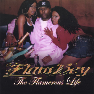 The Flamerous Life Albumcover