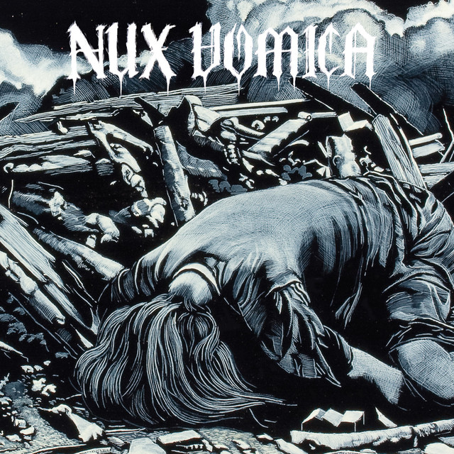 Nux Vomica Photo