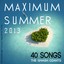 Maximum Summer 2013 (Incl. Love Me Again, La La La, Wake Me Up, Ho Hey) Albumcover