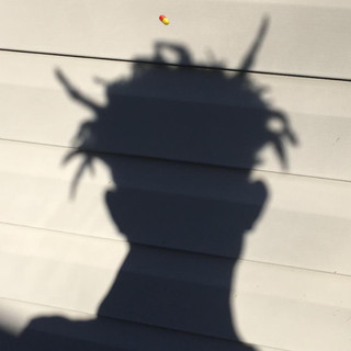 NOLANBEROLLIN Photo