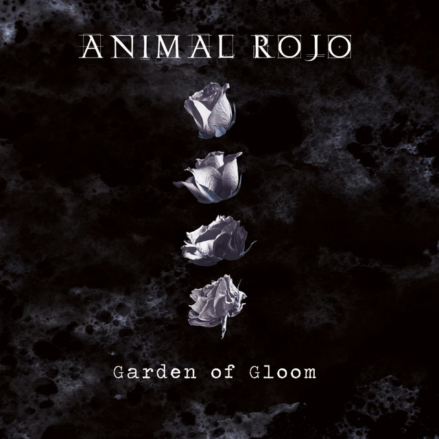 Animal Rojo Photo