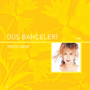 Düş Bahçeleri cover
