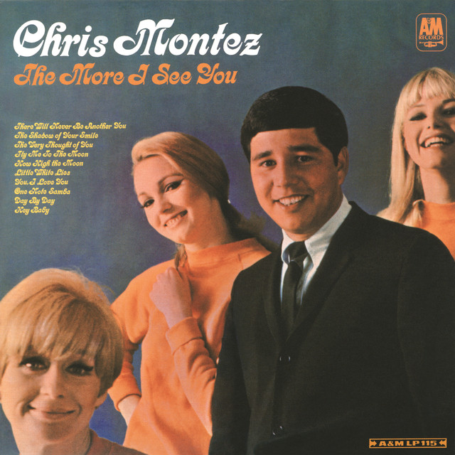 The More I See You cover