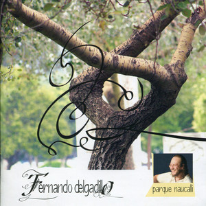 Parque Naucalli cover