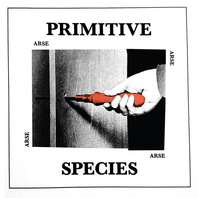 Primitive Species cover