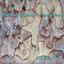 Electronic Symphony 1 - Explorations Albumcover