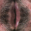 Pelo Público Albumcover