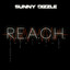 R.E.A.C.H. Albumcover