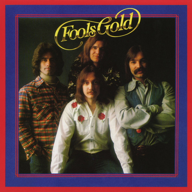 Fools Gold cover
