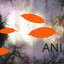 Ani Albumcover