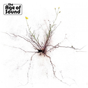 The Age of Sound Photo
